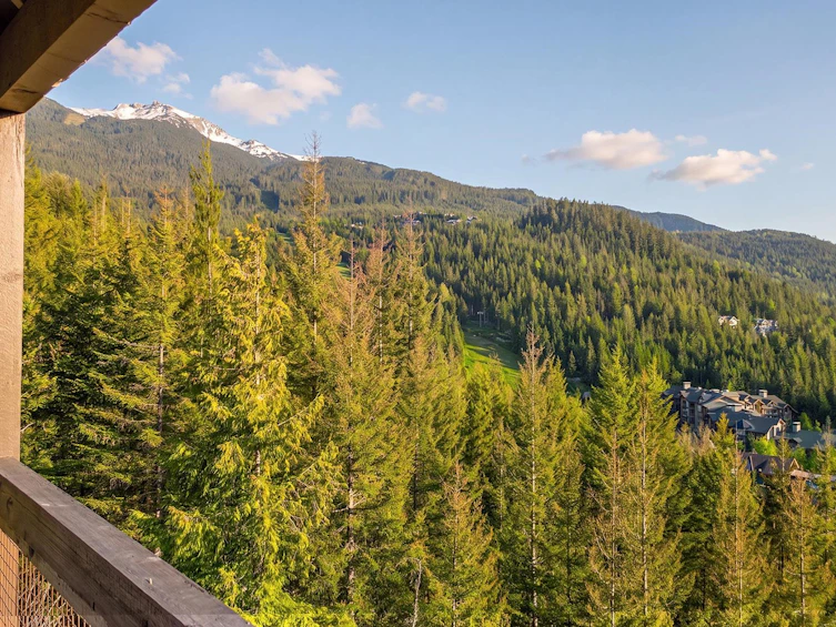 59-2400 Cavendish Way, Whistler, BC, V8E 0L8 - 15