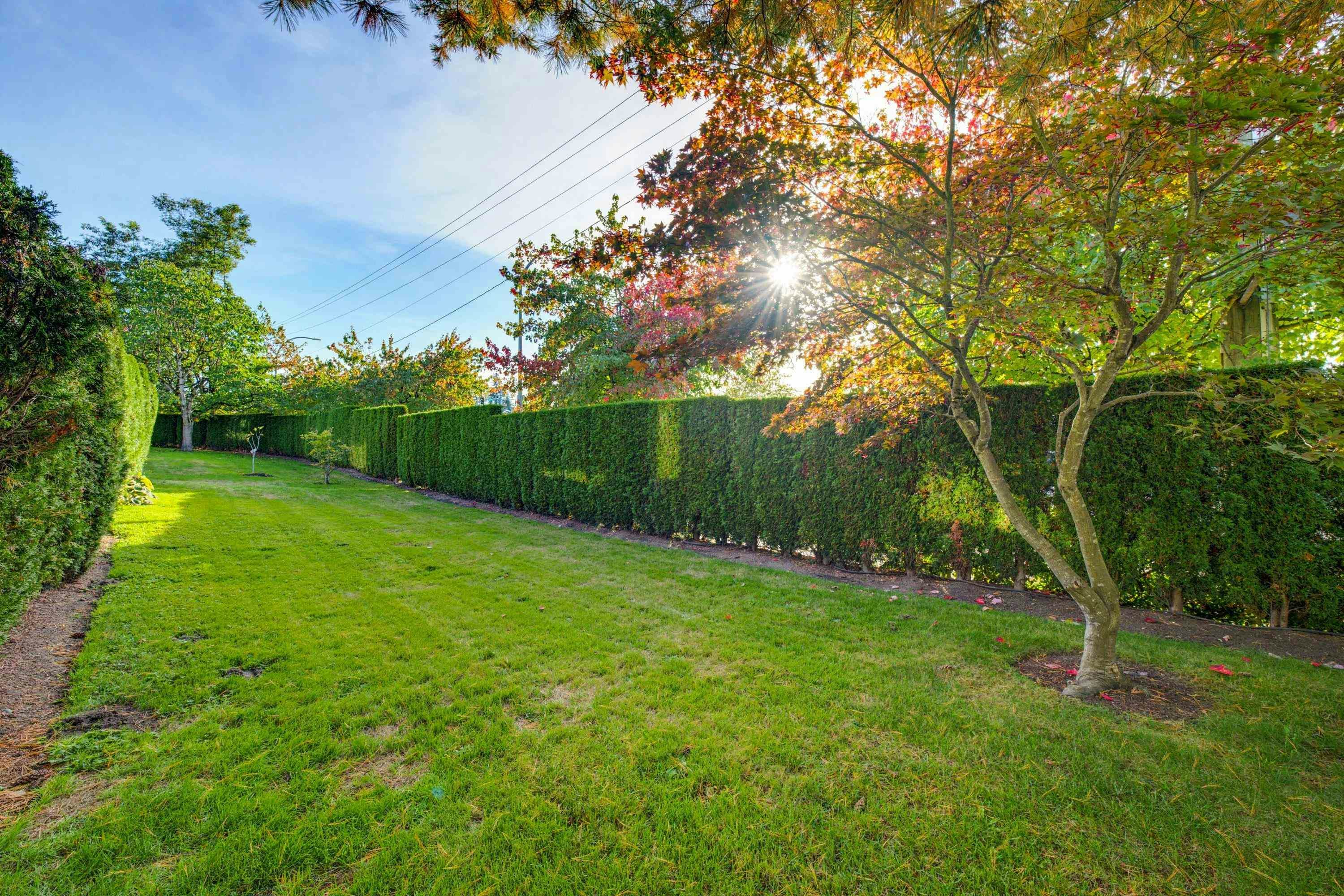 1-20881 87 Avenue, Langley, BC, V1M 3X1 - 36