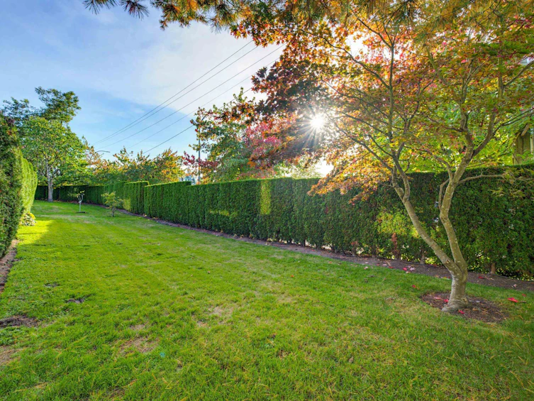 1-20881 87 Avenue, Langley, BC, V1M 3X1 - 36