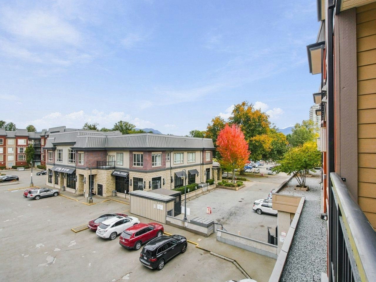 314-2627 Shaughnessy Street, Port Coquitlam, BC, V3C 0E1 - 19