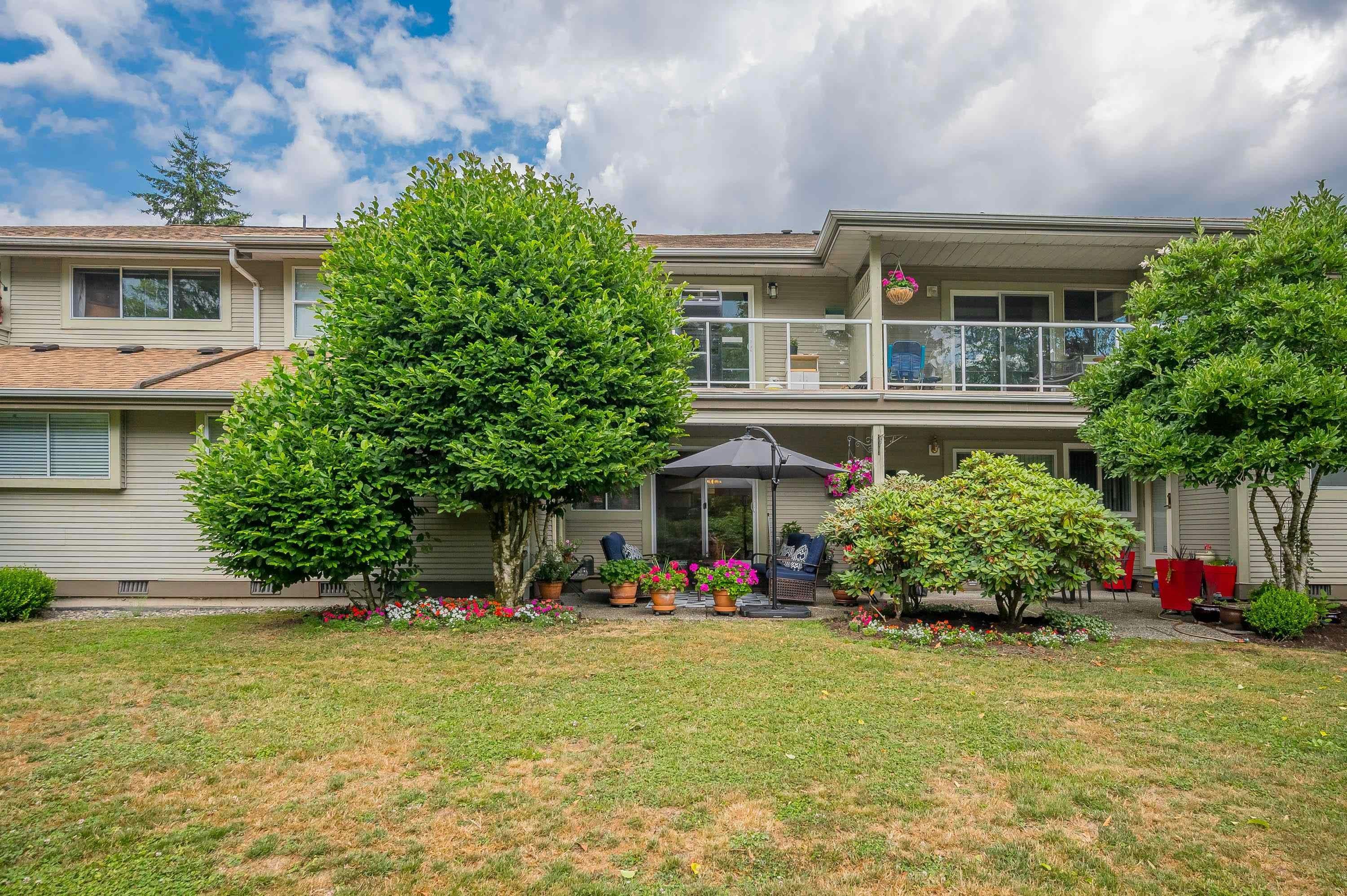 23-12071 232b Street, Maple Ridge, BC, V2X 0Z7 - 33