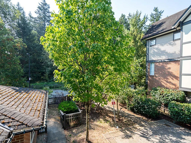 7-8385 Delsom Way, Delta, BC, V4C 0A3 - 13