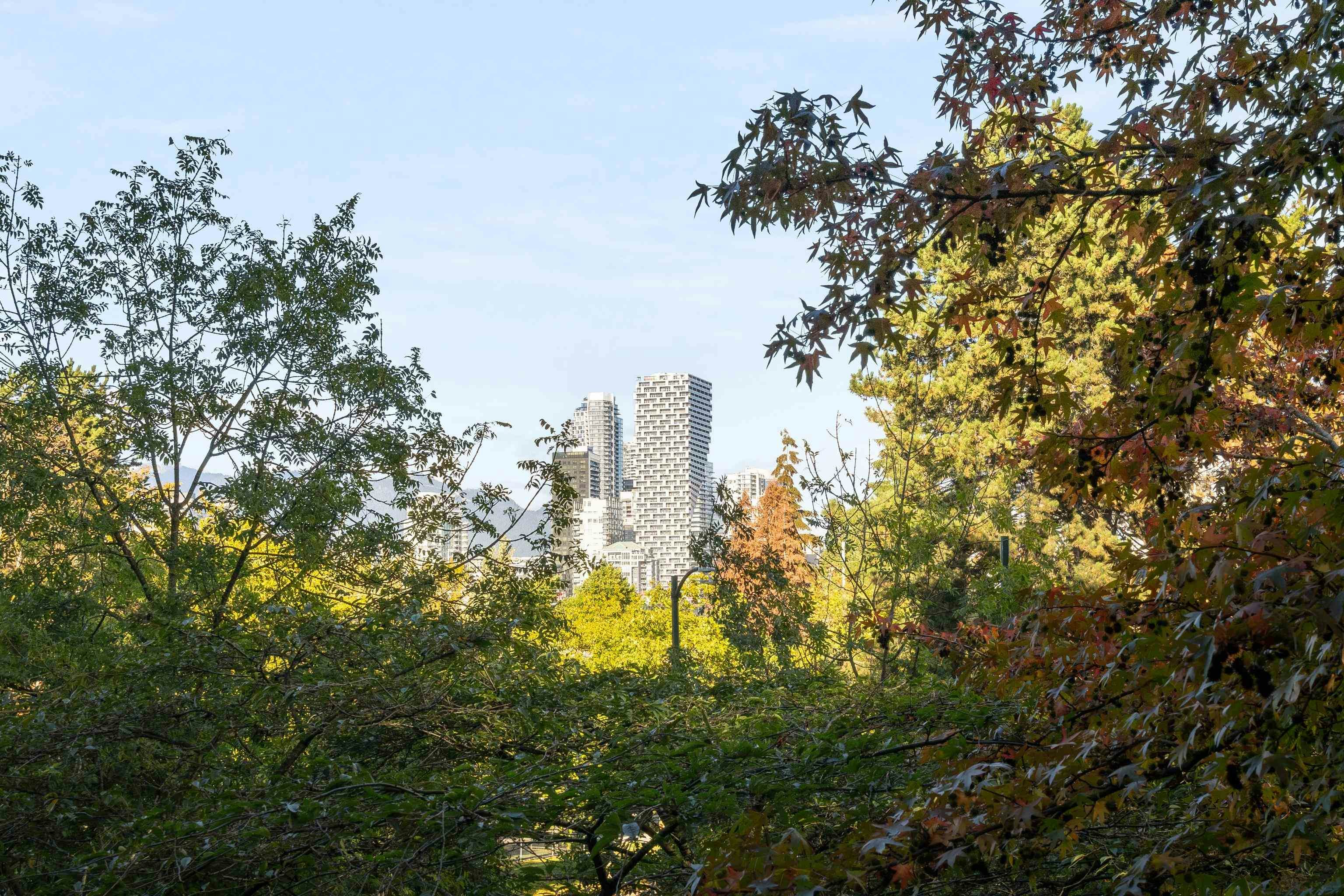 204-1485 W 6th Avenue, Vancouver, BC, V6H 4G1 - 26