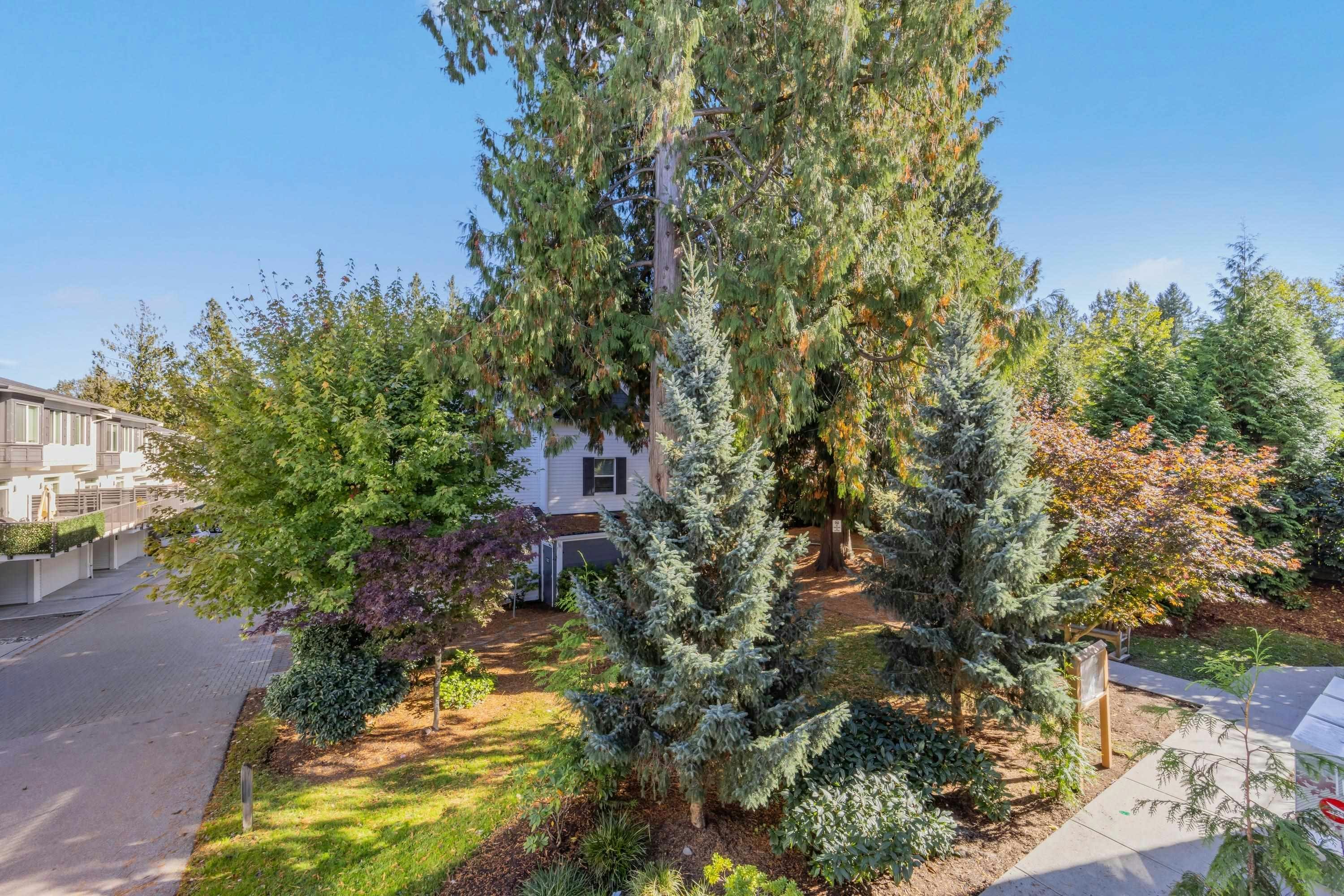 113-8130 136a Street, Surrey, BC, V3W 1H9 - 34