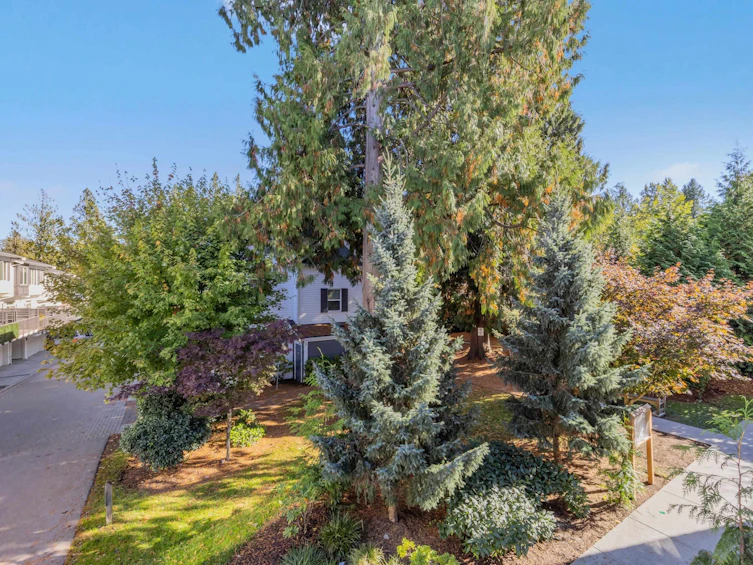 113-8130 136a Street, Surrey, BC, V3W 1H9 - 34