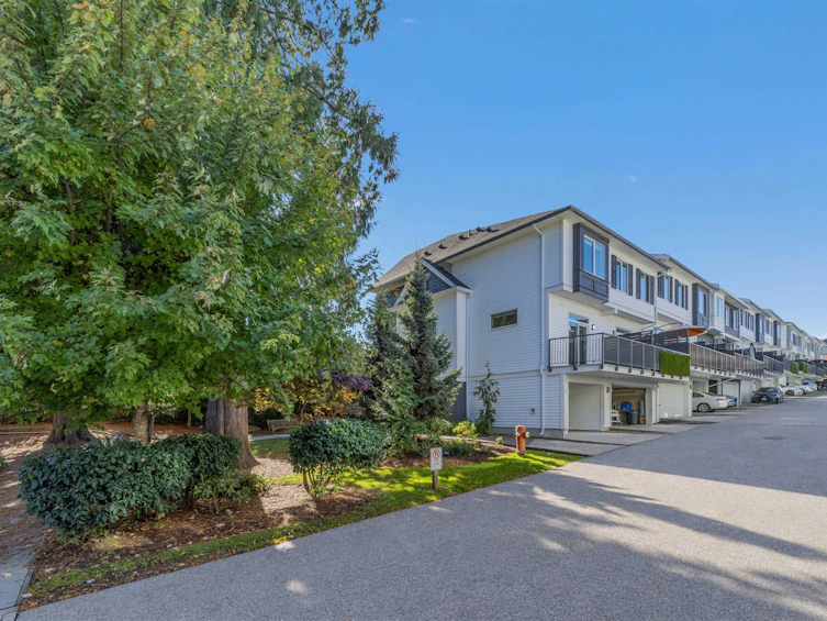 113-8130 136a Street, Surrey, BC, V3W 1H9