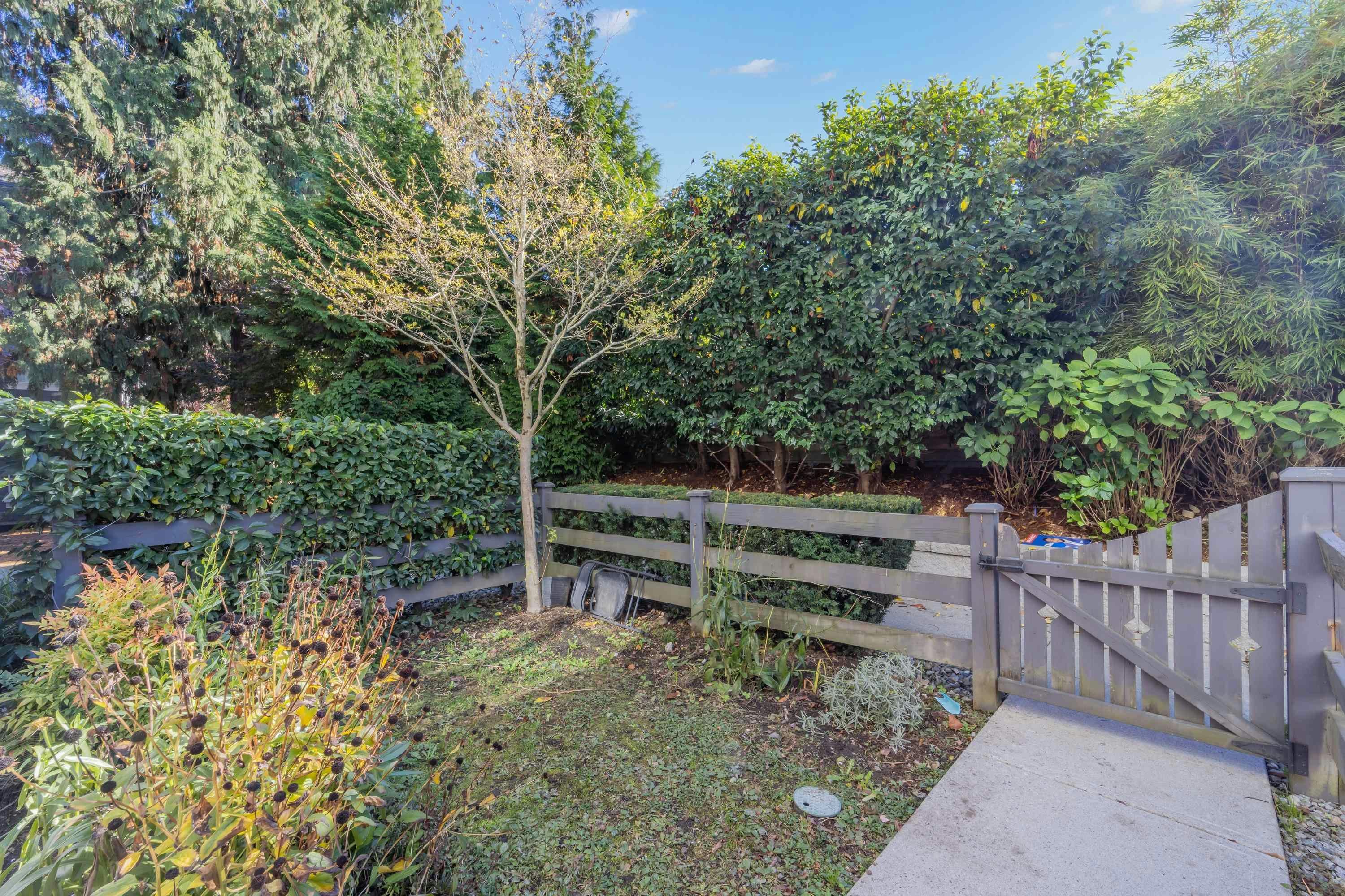 113-8130 136a Street, Surrey, BC, V3W 1H9 - 8