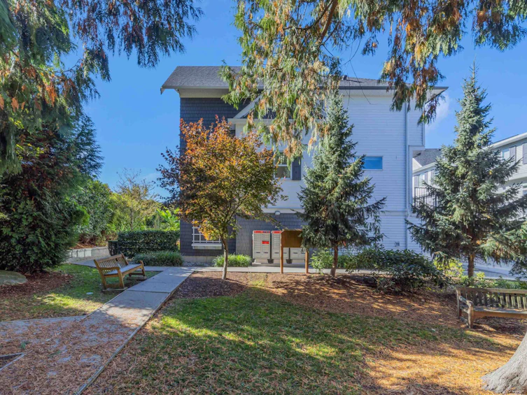 113-8130 136a Street, Surrey, BC, V3W 1H9 - 5
