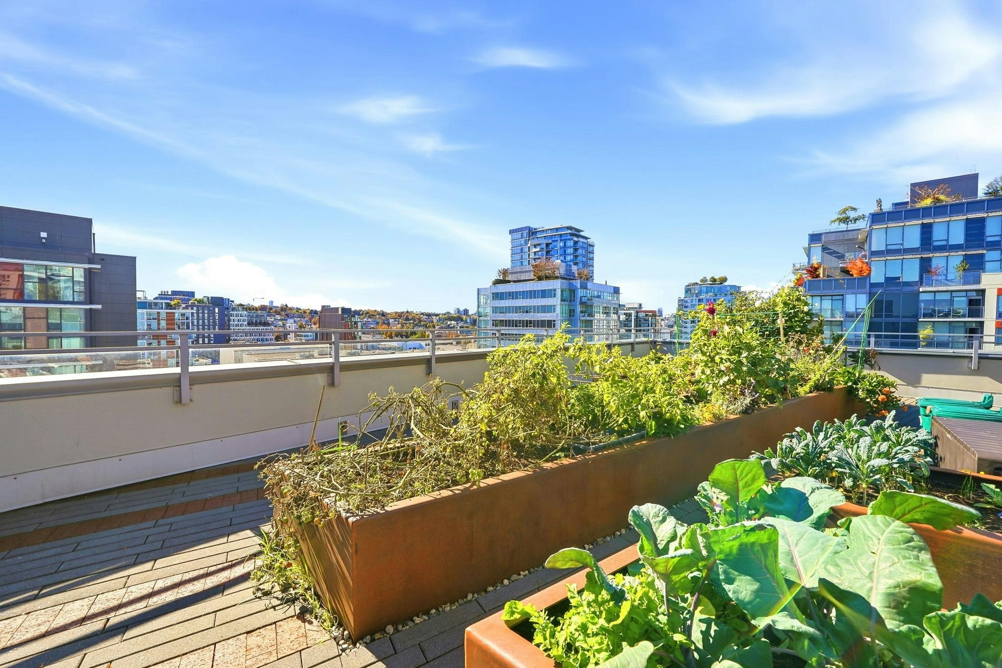 312-161 E 1st Avenue, Vancouver, BC, V6A 0G1 - 27