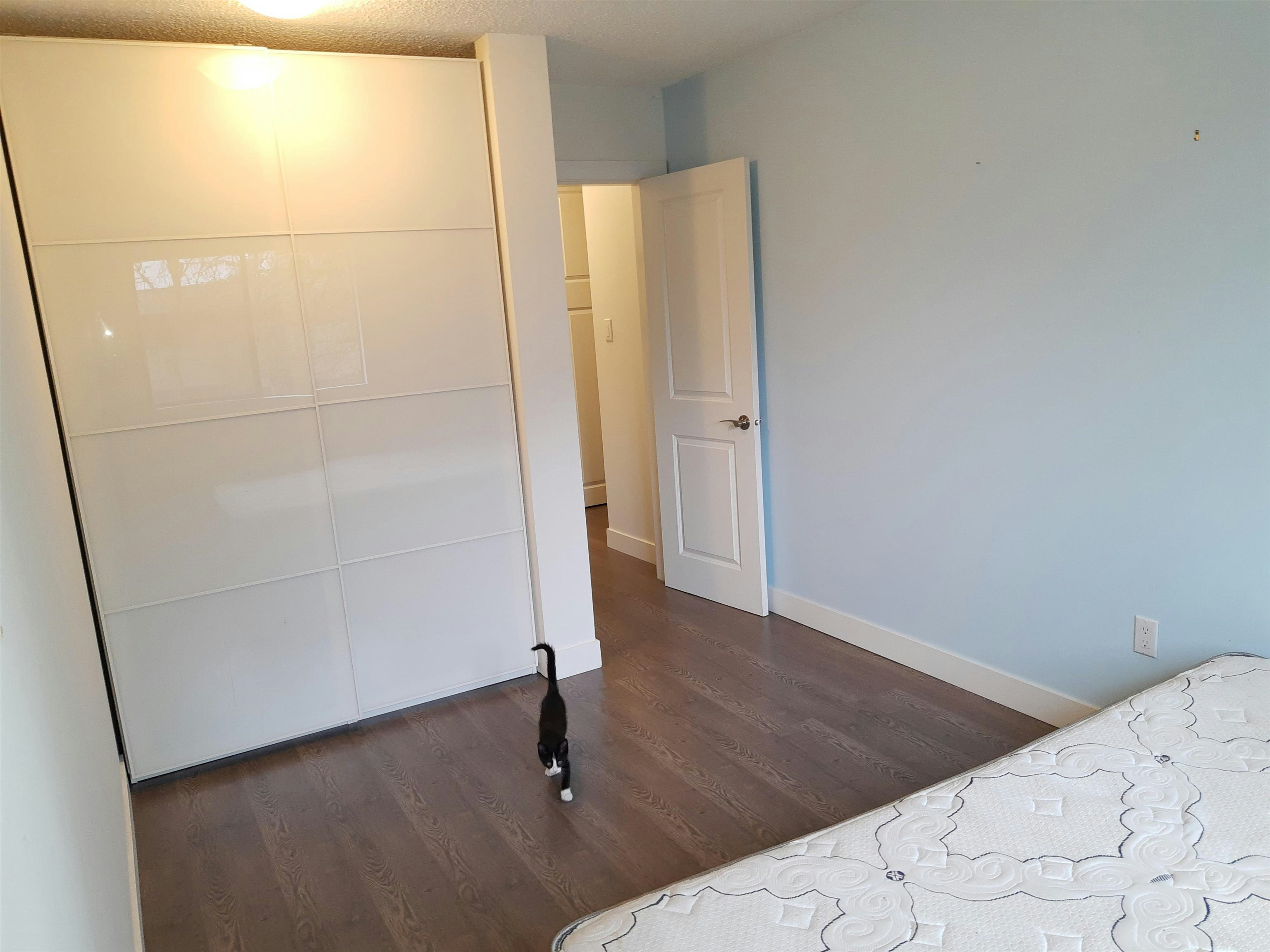 31-2441 Kelly Avenue, Port Coquitlam, BC, V3C 1Y3 - 8