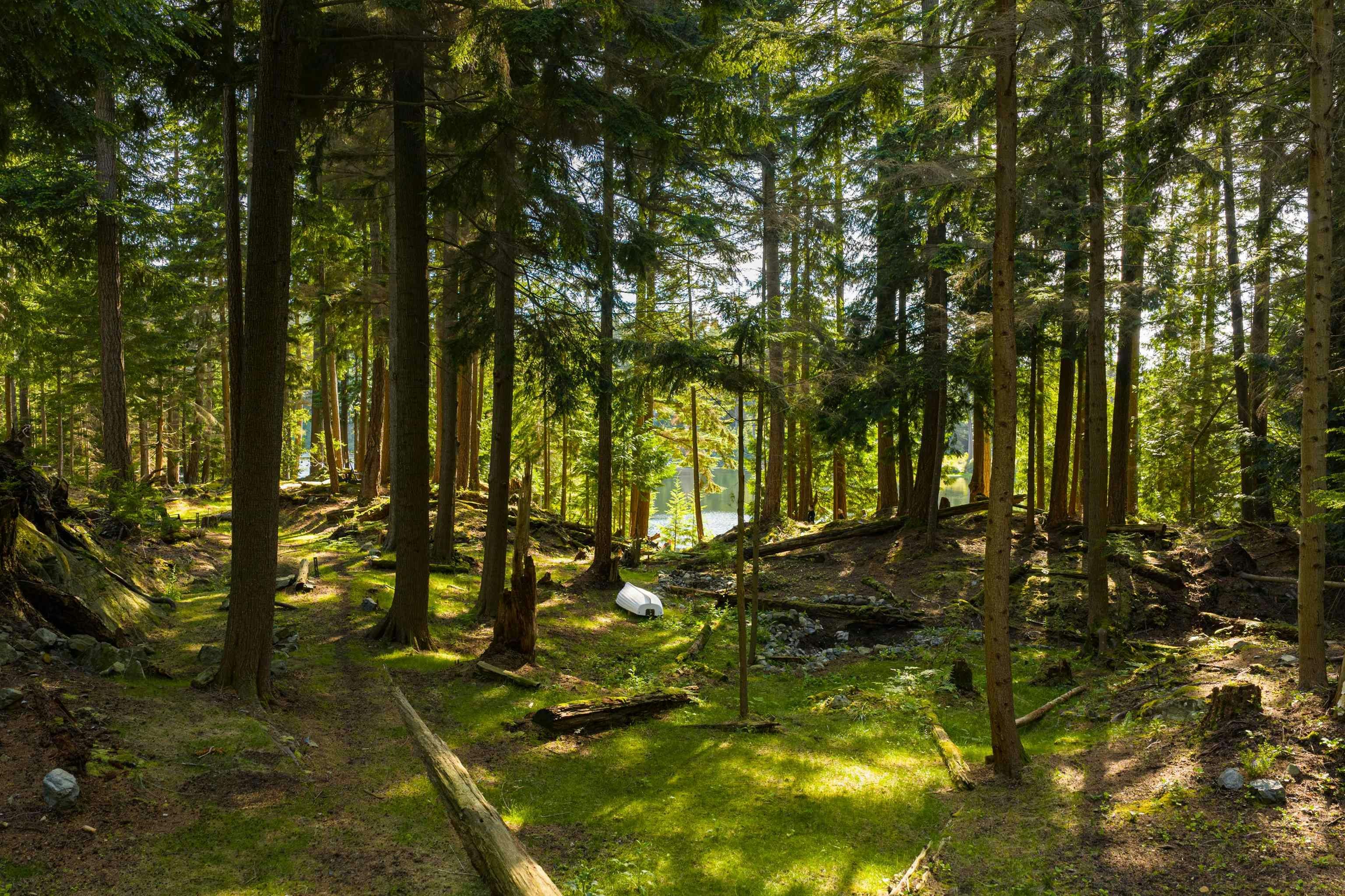 350 Salal Road, Bowen Island, BC, V0N 1G2 - 38