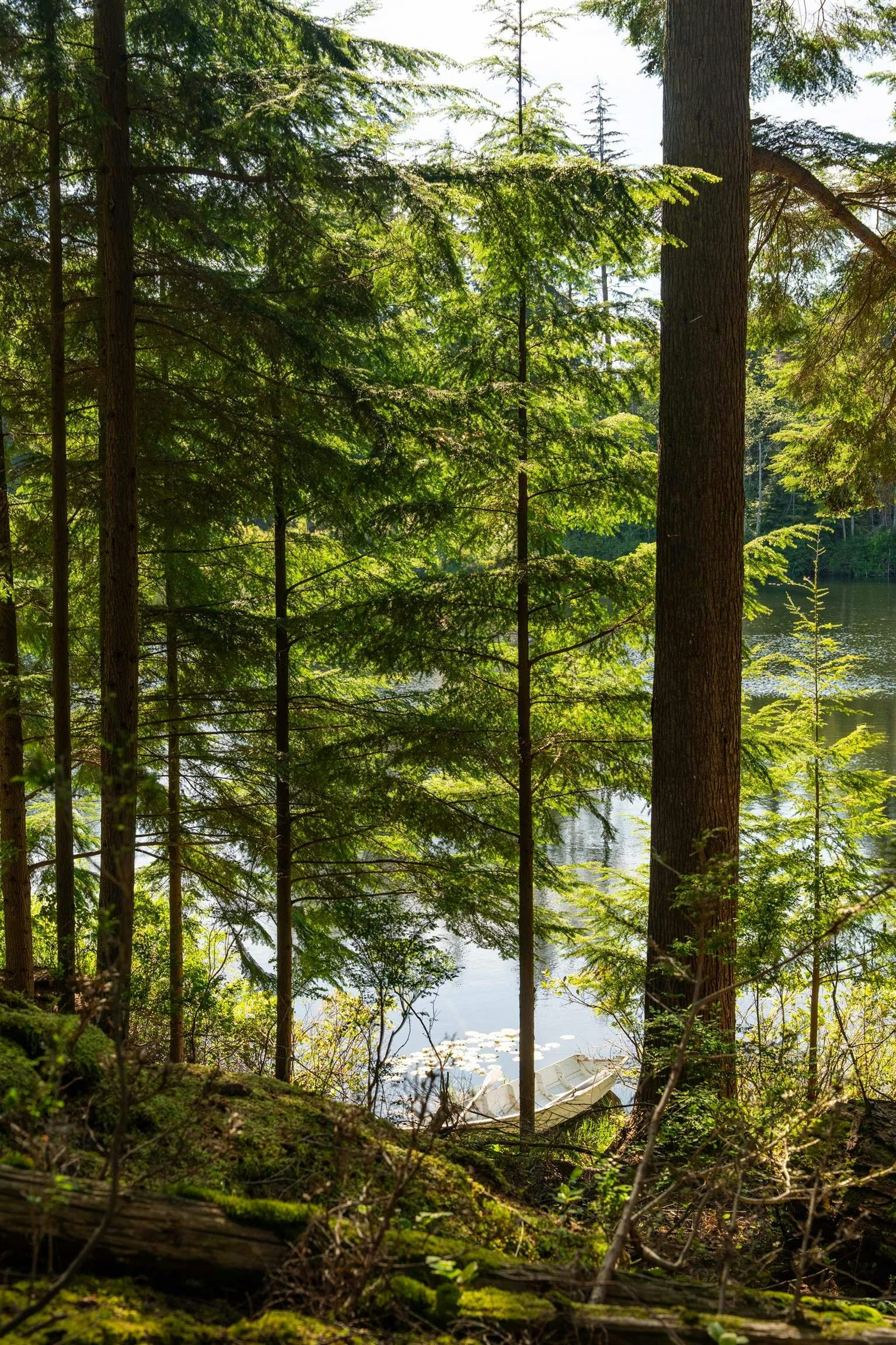 350 Salal Road, Bowen Island, BC, V0N 1G2 - 27