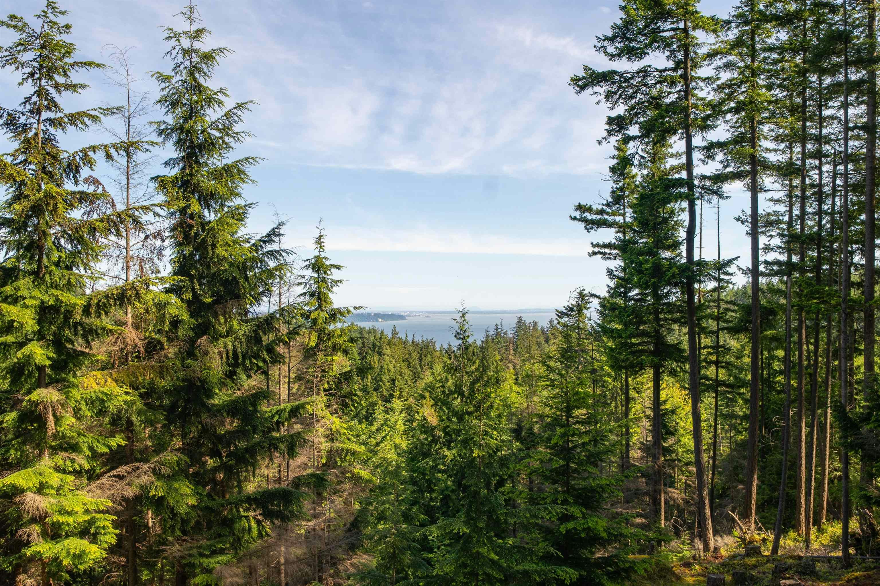 350 Salal Road, Bowen Island, BC, V0N 1G2 - 19