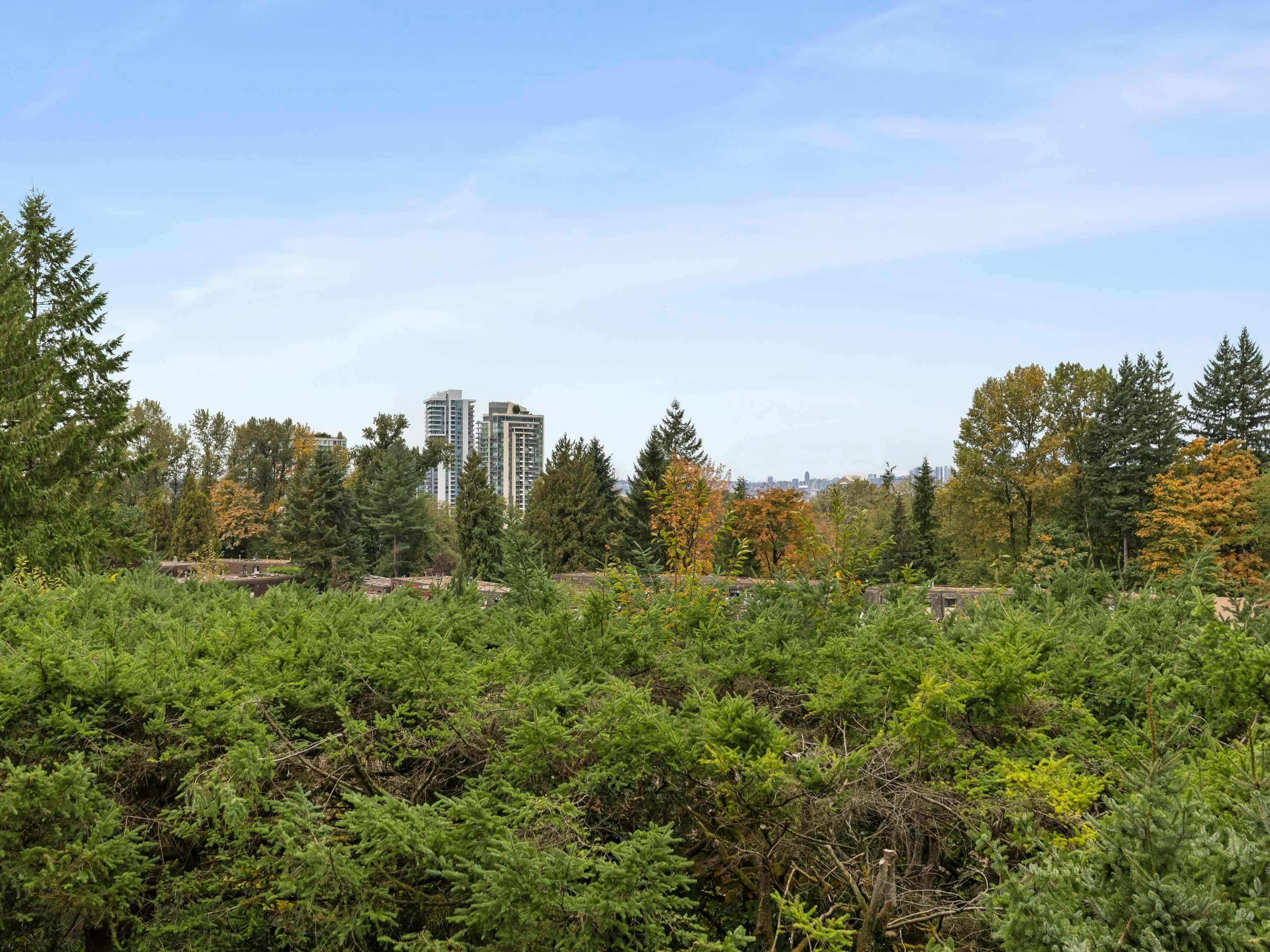 1185 Lillooet Road, North Vancouver, BC, V7J 3H7 - 15