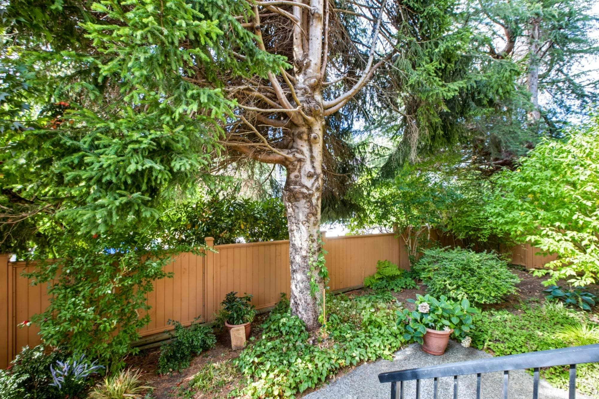 119-1442 Blackwood Street, Surrey, BC, V4B 3V5 - 9