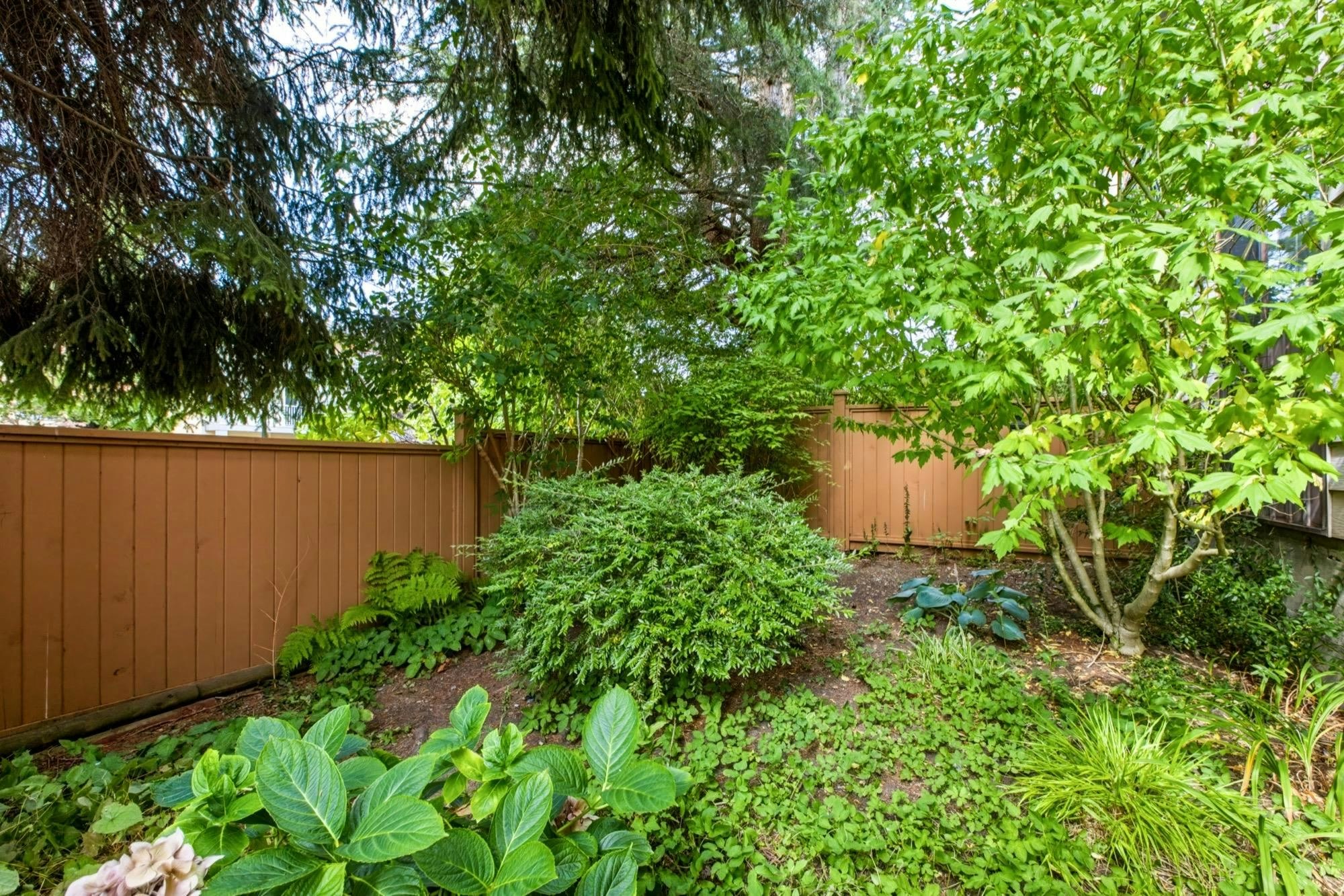 119-1442 Blackwood Street, Surrey, BC, V4B 3V5 - 10