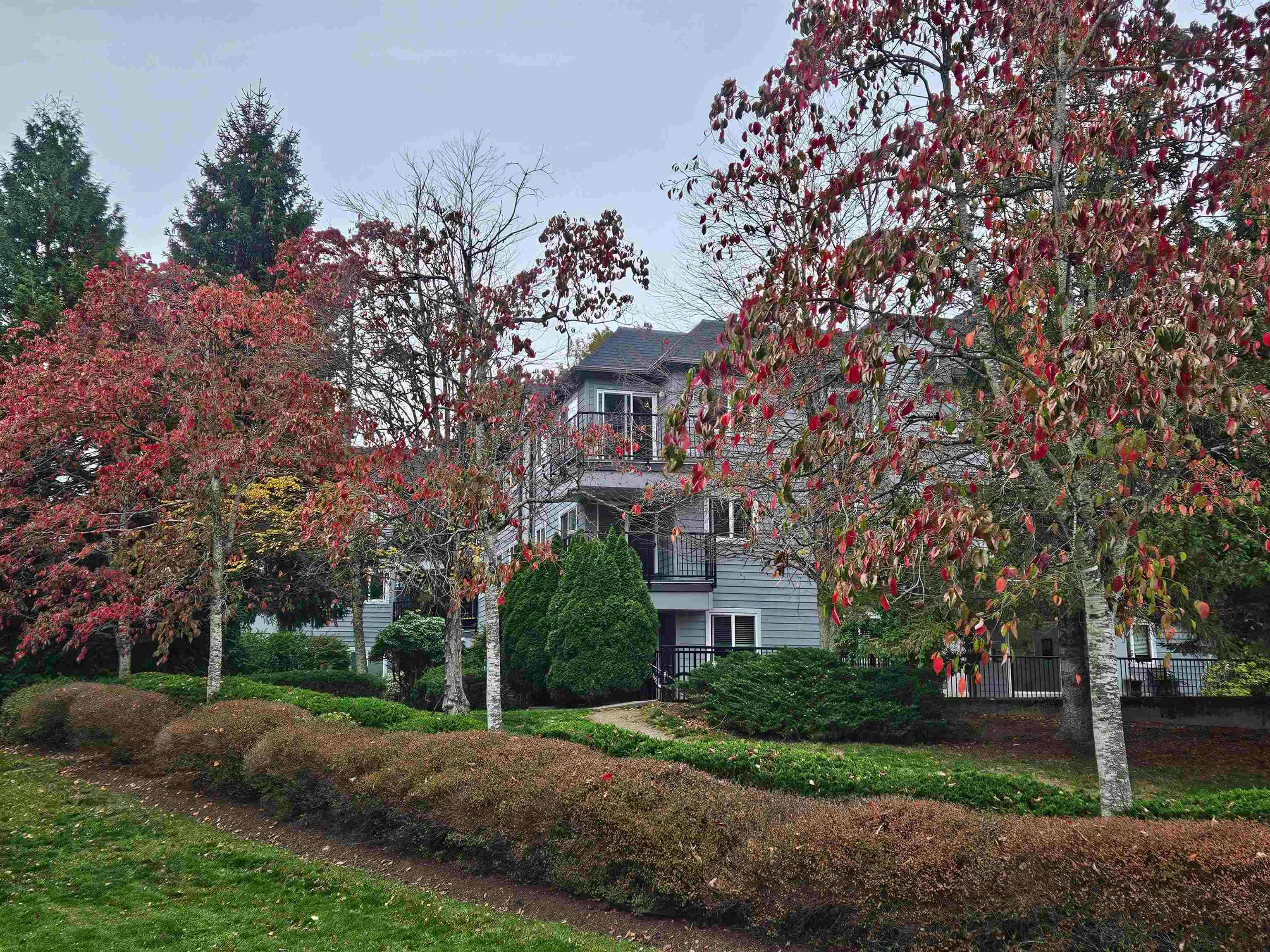 311-40180 Willow Crescent, Squamish, BC, V8B 0M3