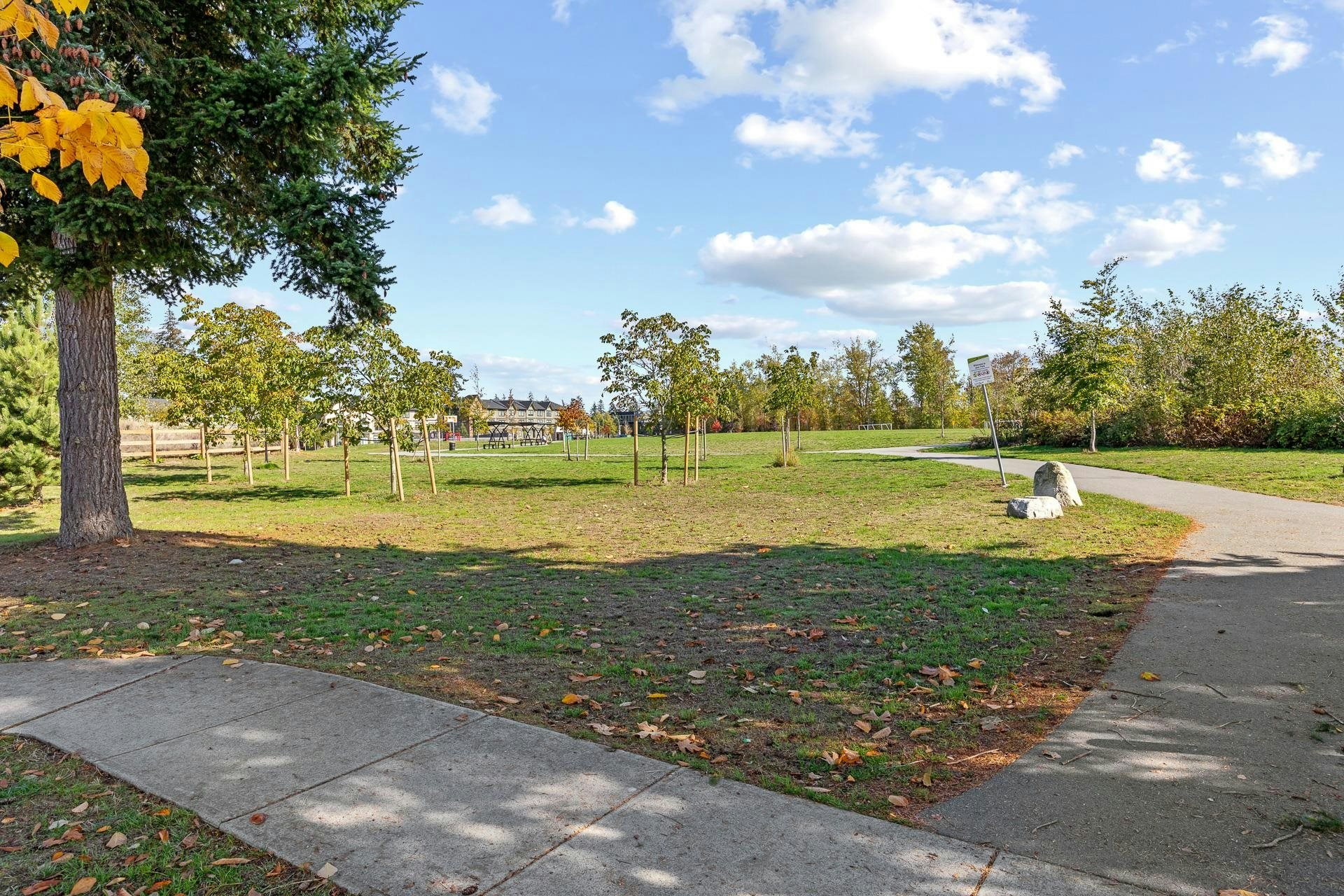 2209 165 Street, Surrey, BC, V3Z 0L8 - 36