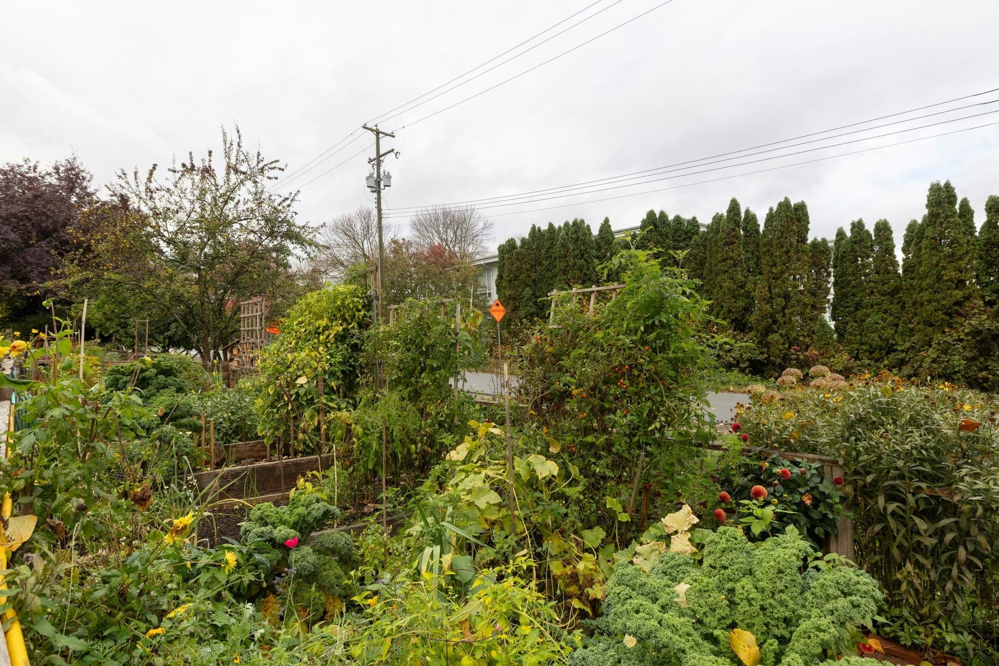 115-1890 W 6th Avenue, Vancouver, BC, V6J 1R6 - 36