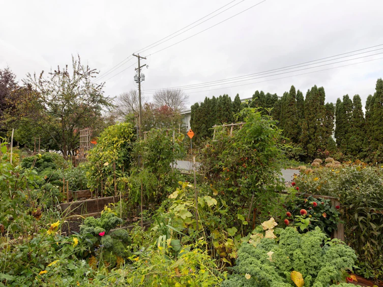 115-1890 W 6th Avenue, Vancouver, BC, V6J 1R6 - 36