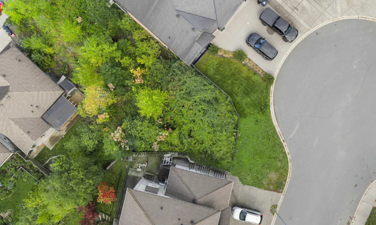 5165 Cecil Ridge Place