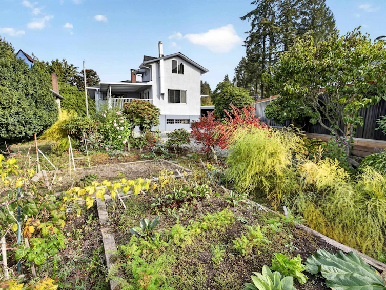 12614 102 Avenue, Surrey, BC, V3V 3E4 - 34