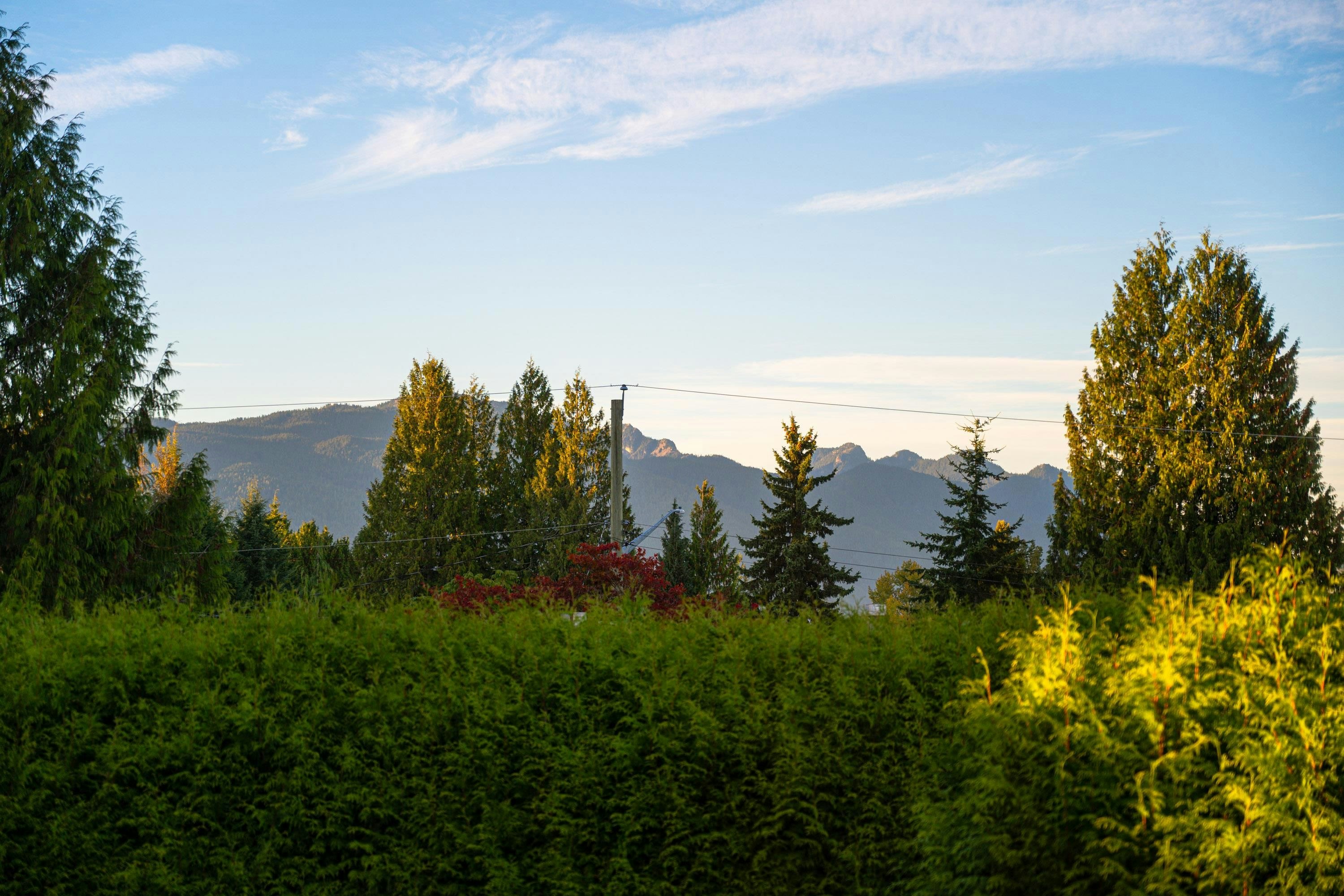327 Mount Royal Court, Port Moody, BC, V3H 3Z3 - 19