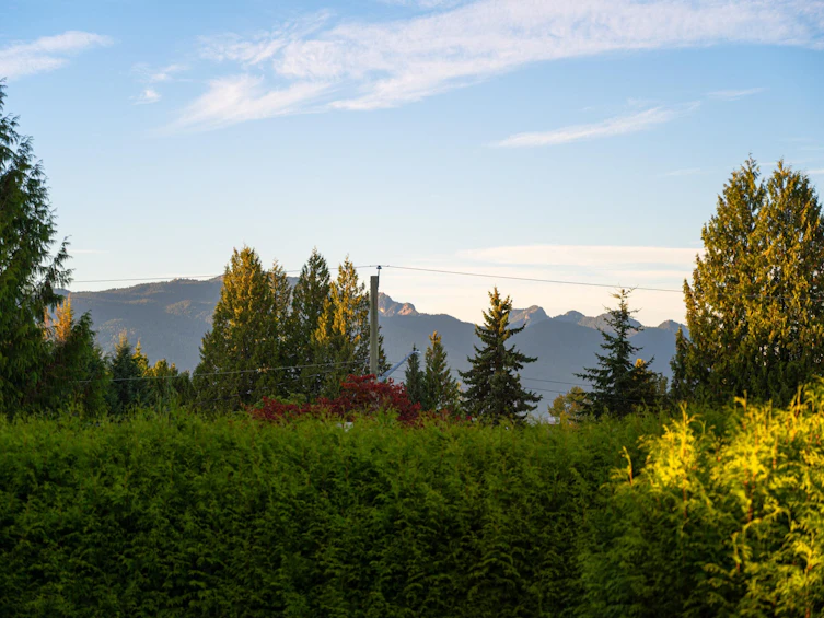 327 Mount Royal Court, Port Moody, BC, V3H 3Z3 - 19