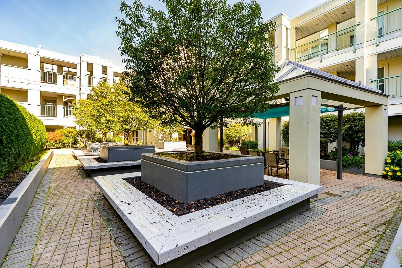213-20680 56 Avenue, Langley, BC, V3A 3Z1 - 10