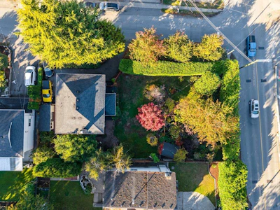 5558 Laurel Street - 3