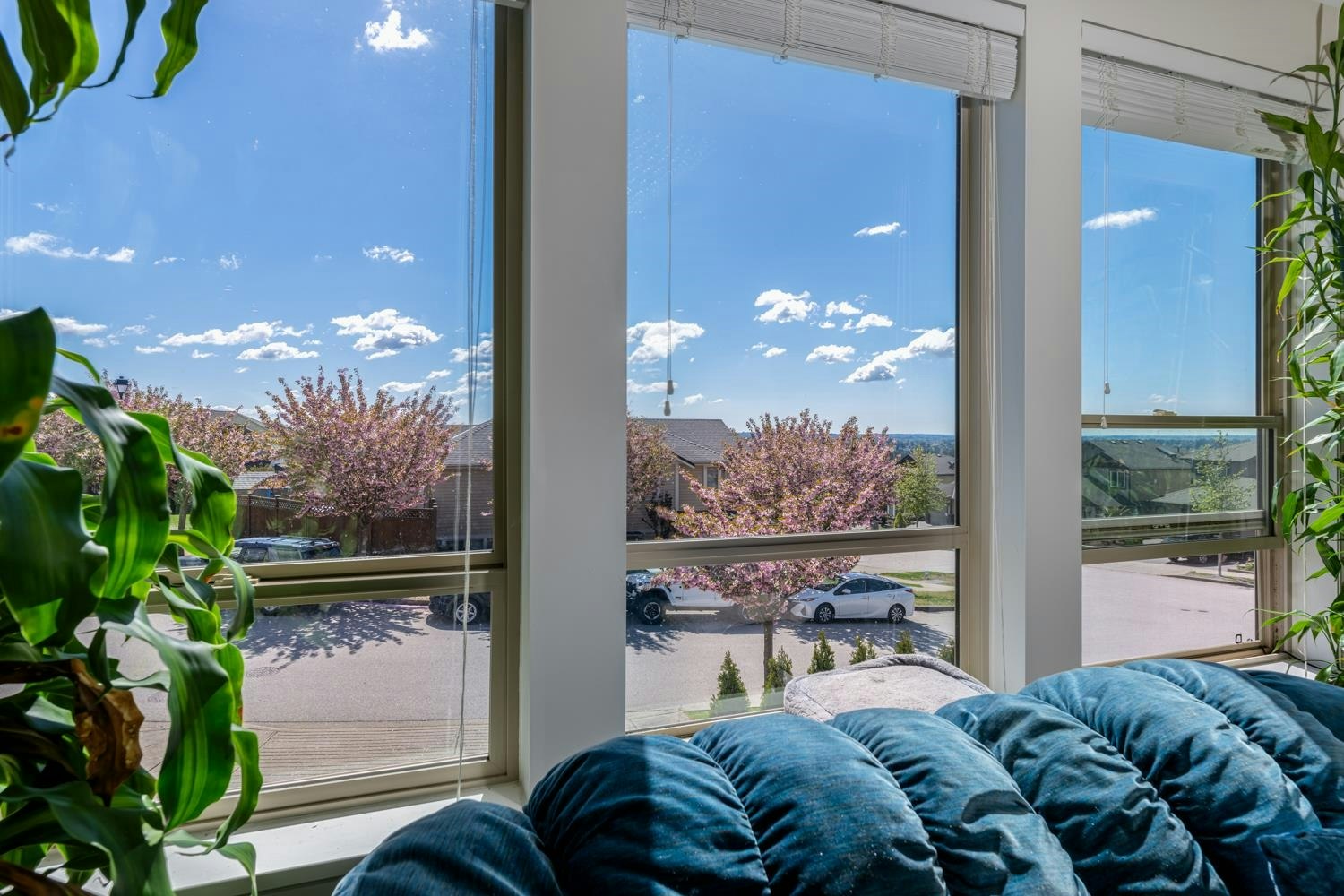 23611 Bryant Drive, Maple Ridge, BC, V4R 0B7 - 3