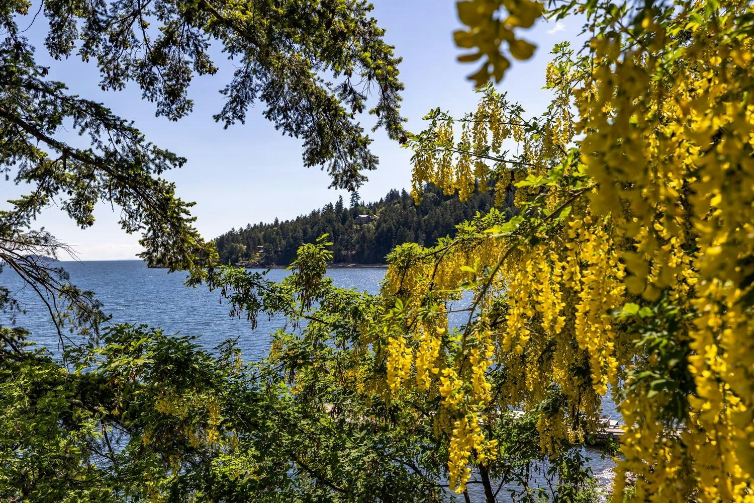 1475 Webb Road, Bowen Island, BC, V0N 1G1 - 31