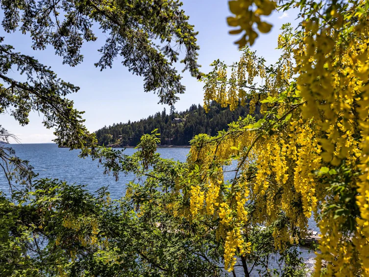 1475 Webb Road, Bowen Island, BC, V0N 1G1 - 31