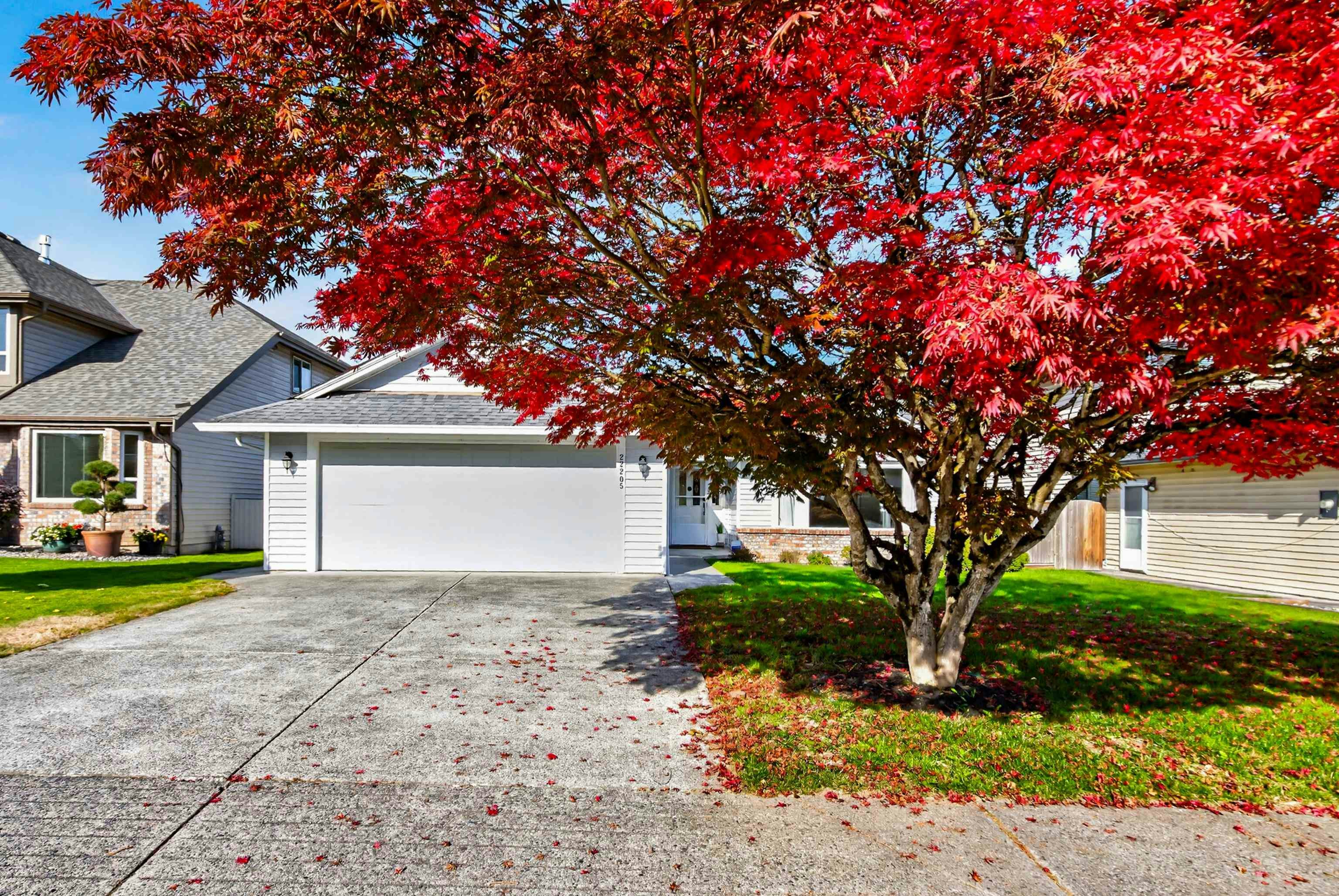 22205 126 Avenue, Maple Ridge, BC, V2X 0W5 - 3