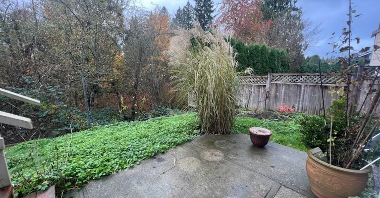 Suite-12505 231st, Maple Ridge, BC, V2X 0G1 - 12