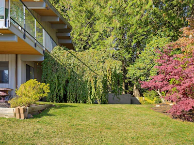 31770 Olson Avenue - 5