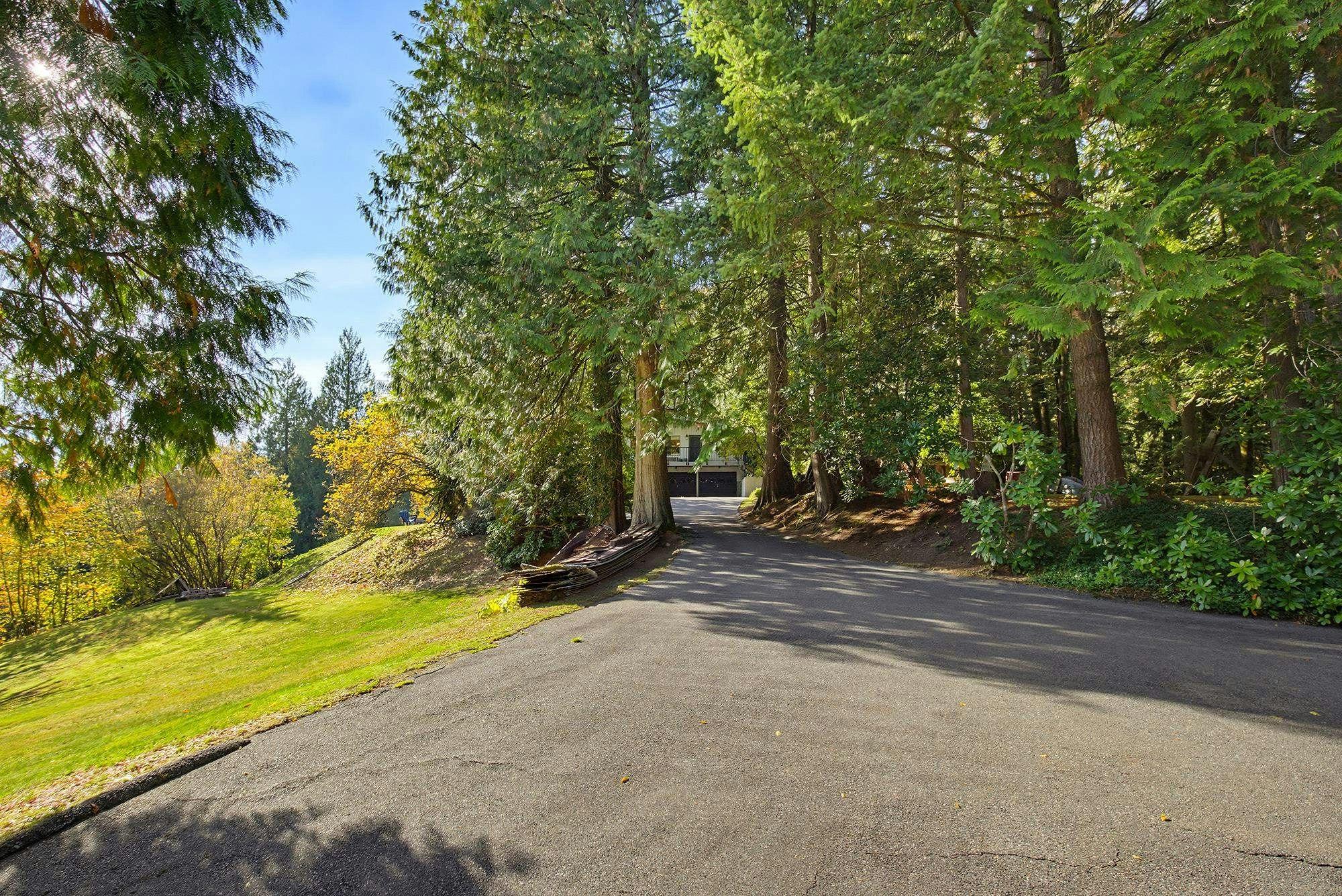 31770 Olson Avenue - 4