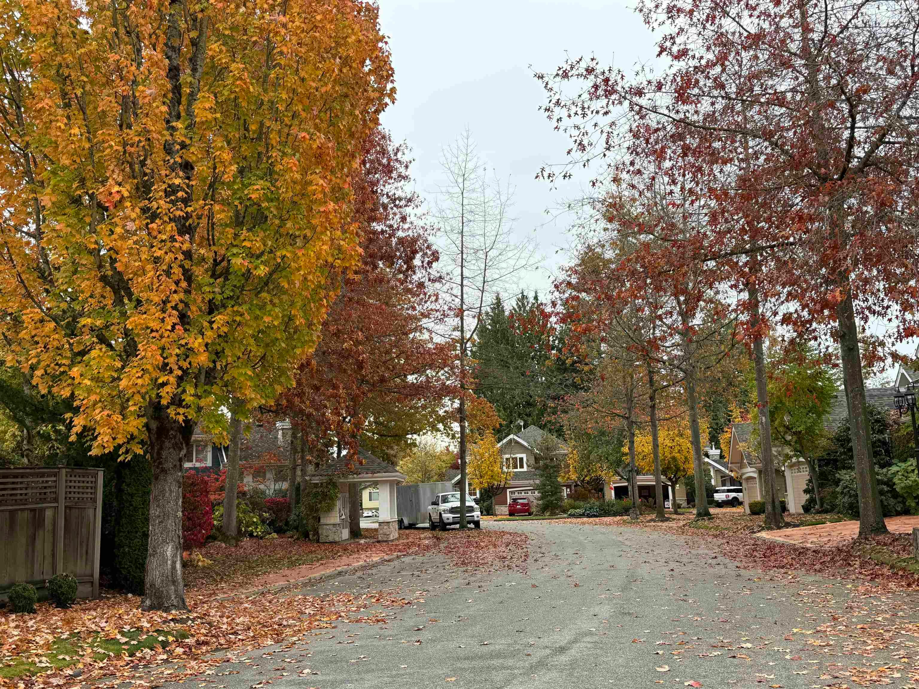 8-15505 20 Avenue - 3