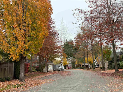 8-15505 20 Avenue - 3