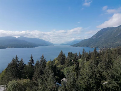 5872 Deerhorn Drive - 5