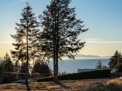 LOT 11 Chapman Road - 4