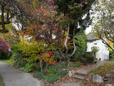 5482 Ross Street - 5