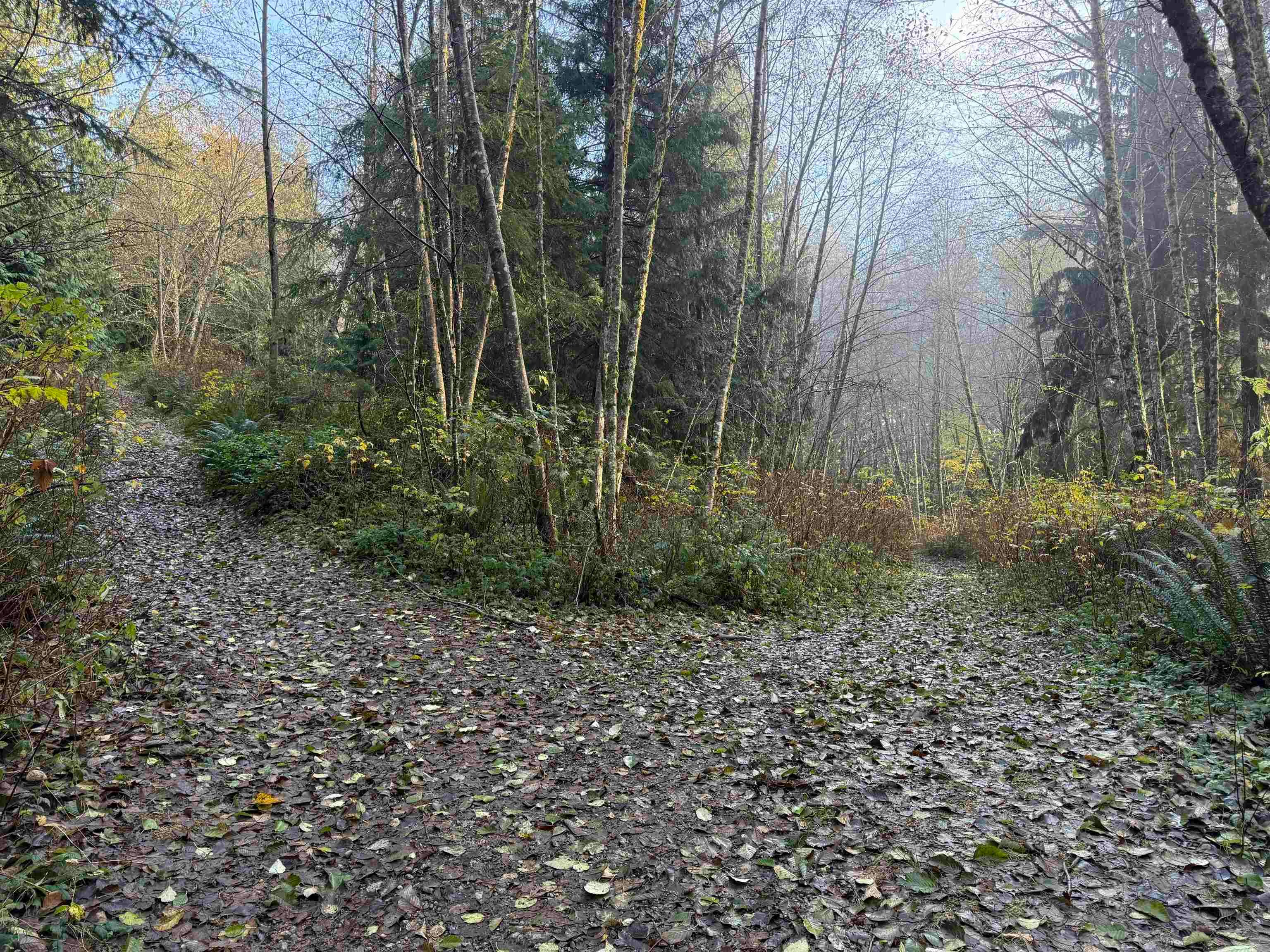 1594 Cemetery Road, Gibsons, BC, V0N 1V1