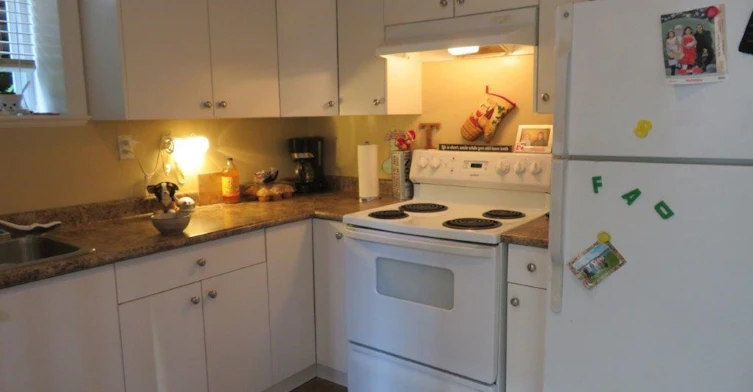 Bsmt-7109 195 Street, Surrey, BC, V4N 5Y7 - 3