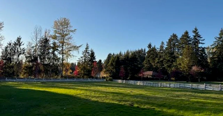 3140 206 Street, Langley, BC, V2Z 2C8 - 16