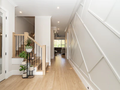 34151 Larch Street - 3