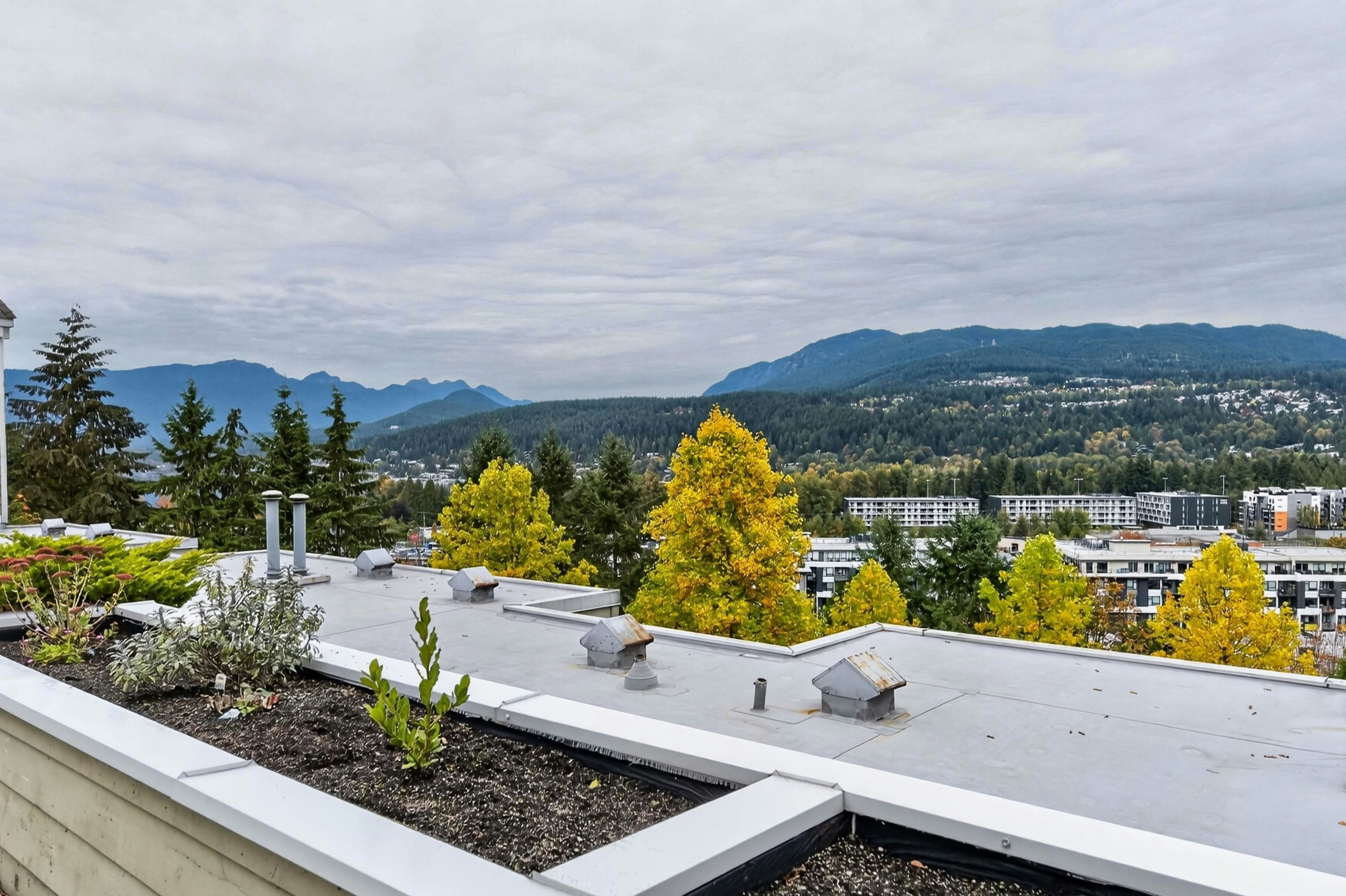 603-3001 Terravista Place - 4