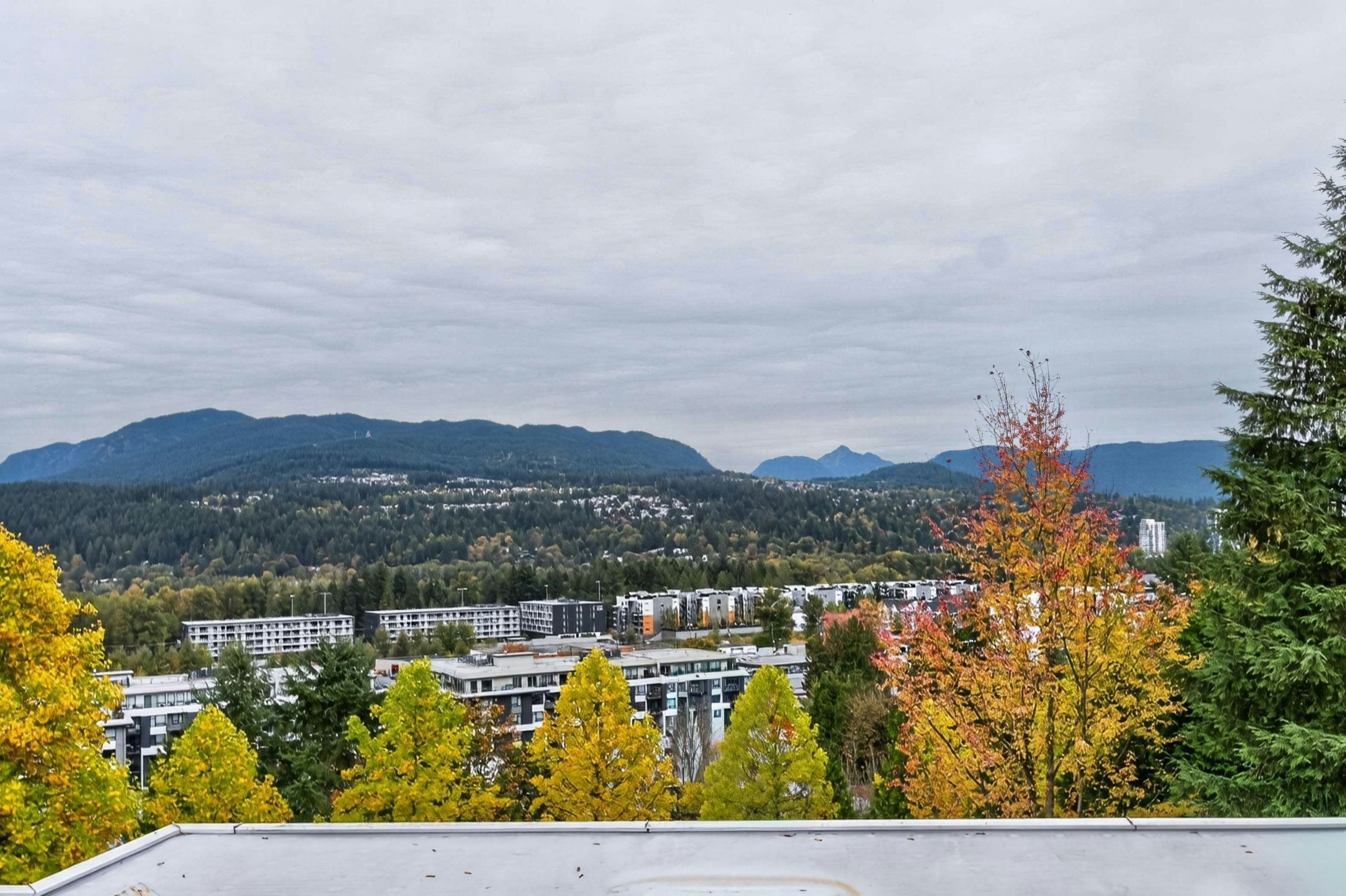 603-3001 Terravista Place - 3