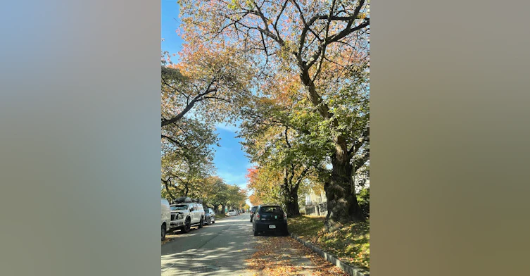 3124 Graveley Street Vancouver Street, Vancouver, BC, V5K 3K6 - 23
