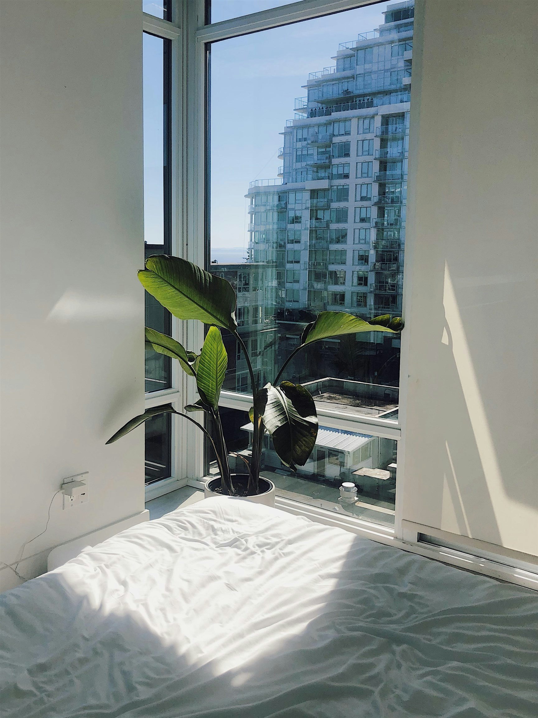 80*-1455 George Street, Surrey, BC, V4B 0A9 - 15